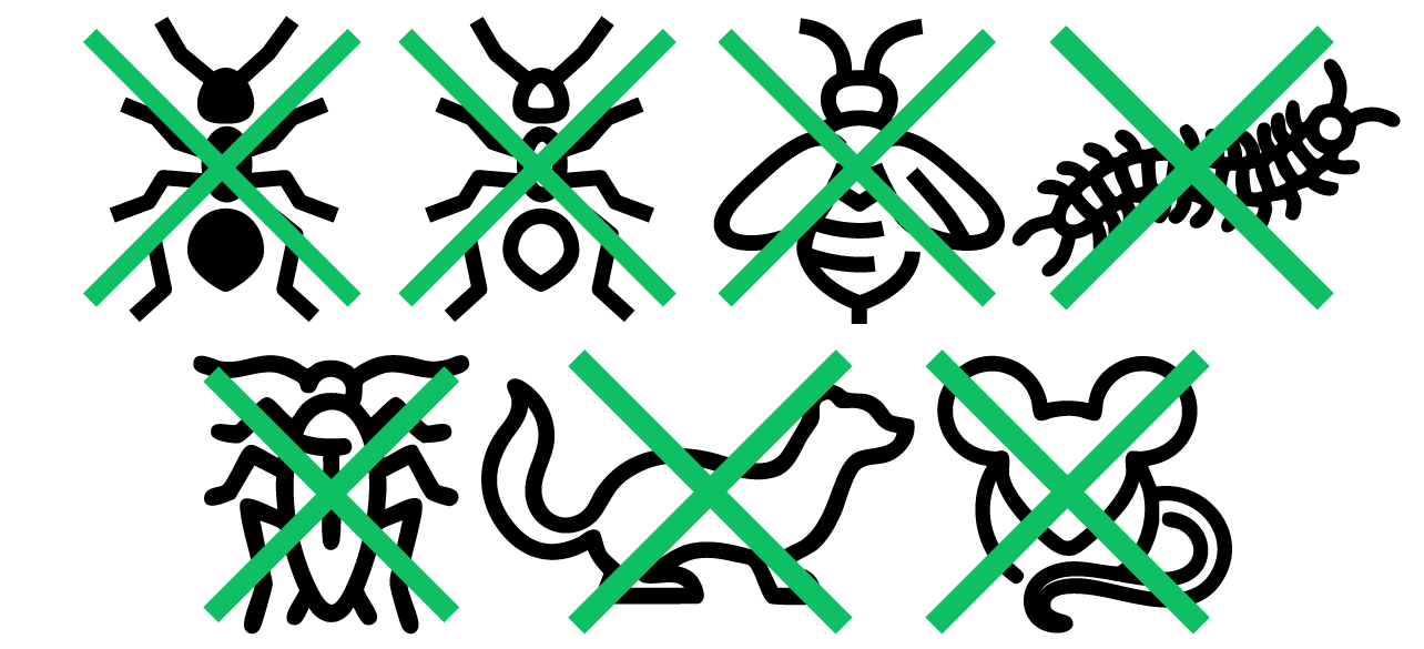 虫を駆逐します